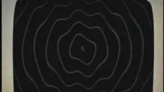 The Meat Puppets - 