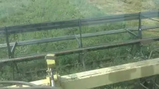 Cutting alfalfa seed with a draper head