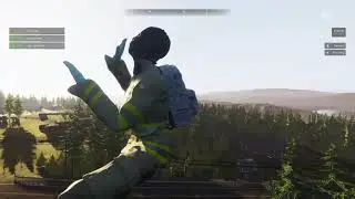 Vein Demo Ladder bug