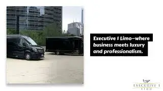 Limousine Service Chicago - Executive 1 Limo