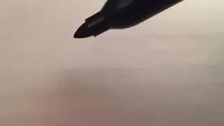 Sharpie Permanent Marker: Extreme Fade Resistance
