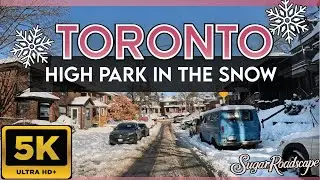 5K Toronto Snow Drive 2025 | High Park & Neighborhoods Winter Wonderland