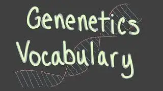 Genetics Vocabulary