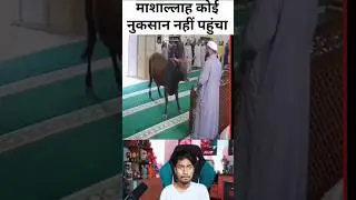 new islamic video #newislamicstatus #islamic #youtubeshorts