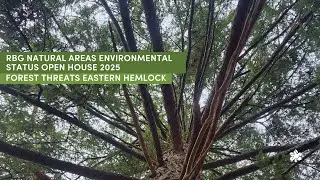 3: Forest Threats Eastern Hemlock