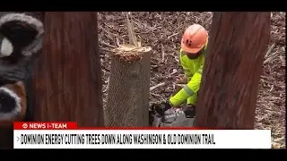 7 News Saves 36 Miles of Trees Along Historic Trail in Virginia