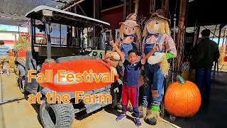Fall Fun at the Farm!