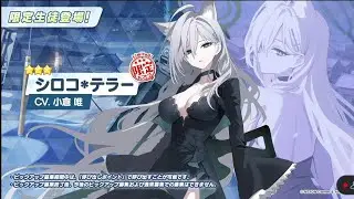 Blue Archive - Banner Fest 3,5 Anniversary Shiroko Terror