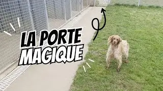 PATCH NE COMPREND VRAIMENT RIEN (mais on l'aime quand m&ecirc;me)