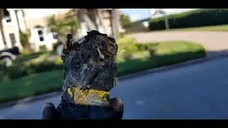Why water and electricity don't mix.