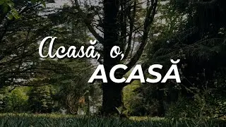 Acasă, o, acasă... | Lyrics Video