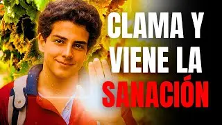 Pide MILAGRO para tu Enfermedad: Oración a Carlo Acutis