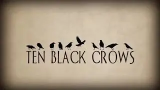 South for Winter - Ten Black Crows (Unplugged, Lyrics Video)