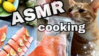 ASMR SALMON Cooking with Ginger Cat