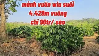 cần tiền giải quyết việc trước tết.Mảnh vườn giáp suối., xe ôtô vào tận nơi.Giá ngộp 90tr/sào 