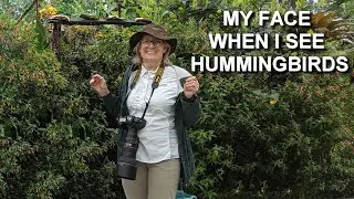 I Visited Ecuador to Find More Fabulous Hummingbirds - Episode 3