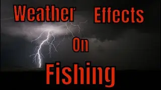 Weather Effects on Fishing⛈