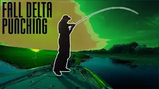 WINDY DELTA PUNCH FISHING - WHERE AND WHEN