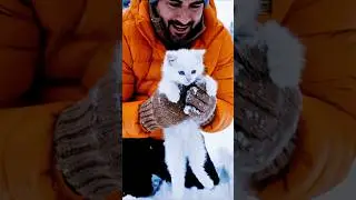 &ldquo;A Gentle Rescue That Saved a Frozen Kitten ❤️&rdquo; #cat #rescue #shorts
