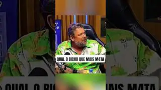 O Bicho que mais mata
