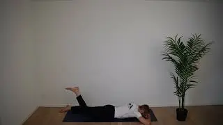 (TB) 435 FAMO Psoas Massage beidseitig mit Ball