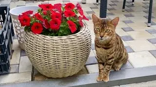 Мы в ШОКЕ 😨 у Синди ГЛИ..🐛 сты ! Наша реакция на ее жизнь на улице !