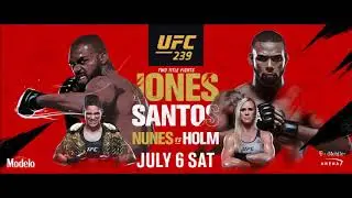 The MMA Analysis   UFC 239 Preview