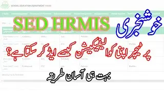 How to Add Qualification in HRMIS || Easy Method | HRMIS Pe Qualification kesy add krty hain.