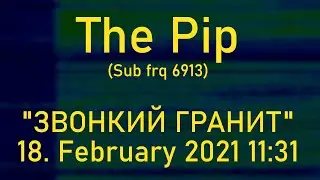 [The Pip (Sub frq 6913)] ЗВОНКИЙ ГРАНИТ Unusual Message Format; 18. February 2021, 11:31