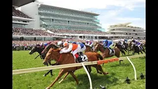 Horse Racing Global Live TV