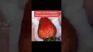 #рекомендации #рек #мем #meme #memes #хомяк