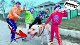 🆘Băieții ATACAȚI de UN CÂINE😨/ Au Fost MUȘCAȚI?
