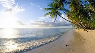 Summer -Verano