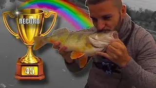 MON RECORD PERCHE #29
