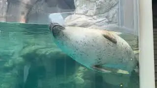 Kyoto aquarium