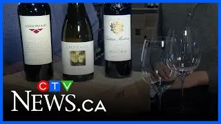 Willow Park Wines