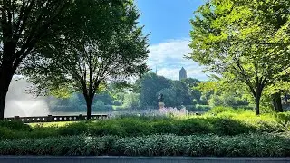 Discovering Wellness with  Branch Brook Park Alliance