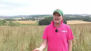 Balbirnie Home Farms in Scotland on integrating livestock and crops