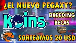 JUEGO NFT PLAY TO EARN 💥 SORTEO 💣 ENTRA GRATIS POR EL SISTEMA DE BECAS🔍️ANALISIS y OPINI&Oacute;N
