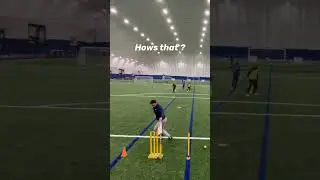 💫 Hit wicket moment &mdash; proudly sponsored by *Fiscal X, your accounting partner! 🧾
