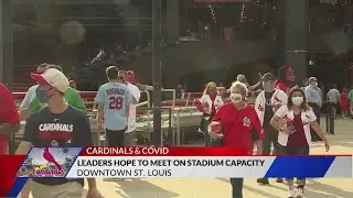 Cardinals plan to meet with city leaders to increase fan capacity