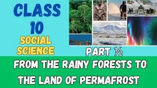 From The Rainy Forests to The Land of Permafrost | Class 10 Geography Chapter 3 Part 1 | SCERT |