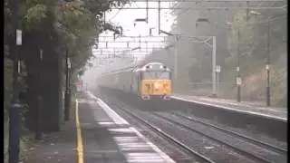 50050 Fearless.