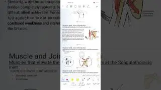 Shoulder Complex (2)