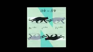 Schr&ouml;dinger | Little dark age
