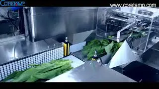 vegetables flow wrap machine,leaf vegetable flow packing machine