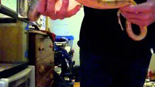 Super Hypo Boa