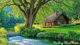 Healing Music for Inner Peace 🌿 Beautiful Relaxing Music to Help Restore the Nervous System