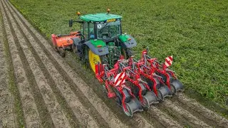Извлечение ботвы для семенного картофеля | Vegniek discmaster 300 | John Deere 6R 150