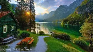 Music Heals the Soul🌿Calming Music for Deep Relaxation, Nature sounds & Relaxing Music for Sleep